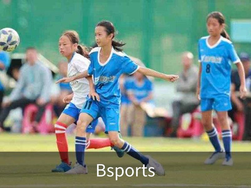 了解Bsports